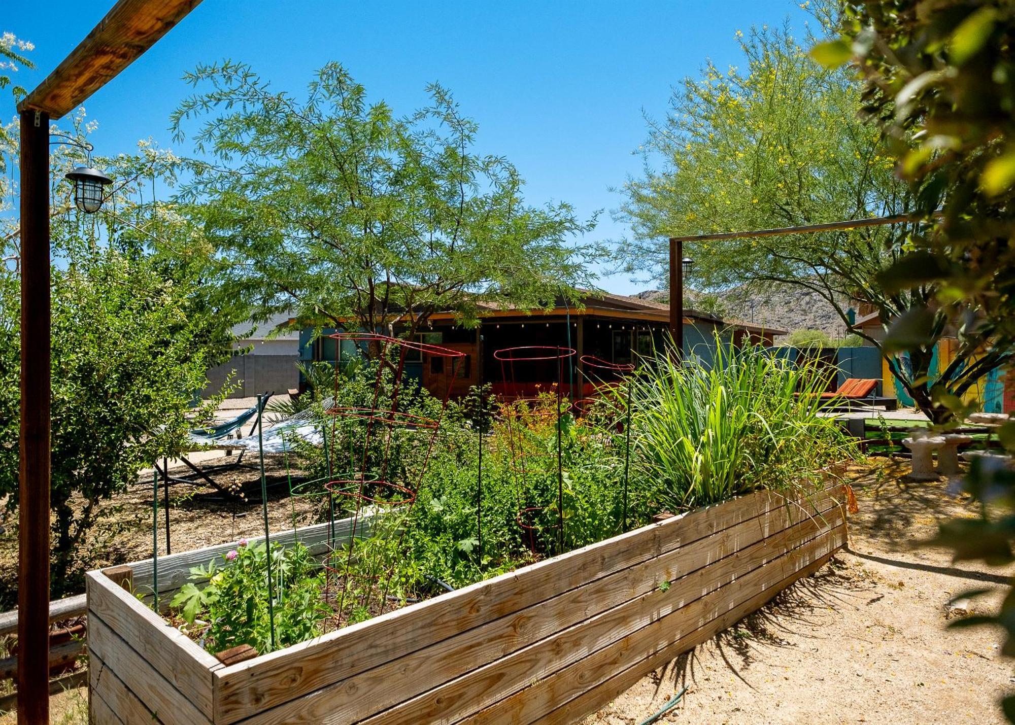 The Hummingbird House, Sauna & Mountain Views! Phoenix Eksteriør billede